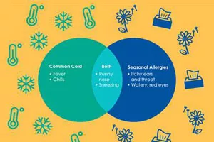 Hallmark Health created a graphic showing how your symptoms may relate to the common cold, seasonal allergies or both.